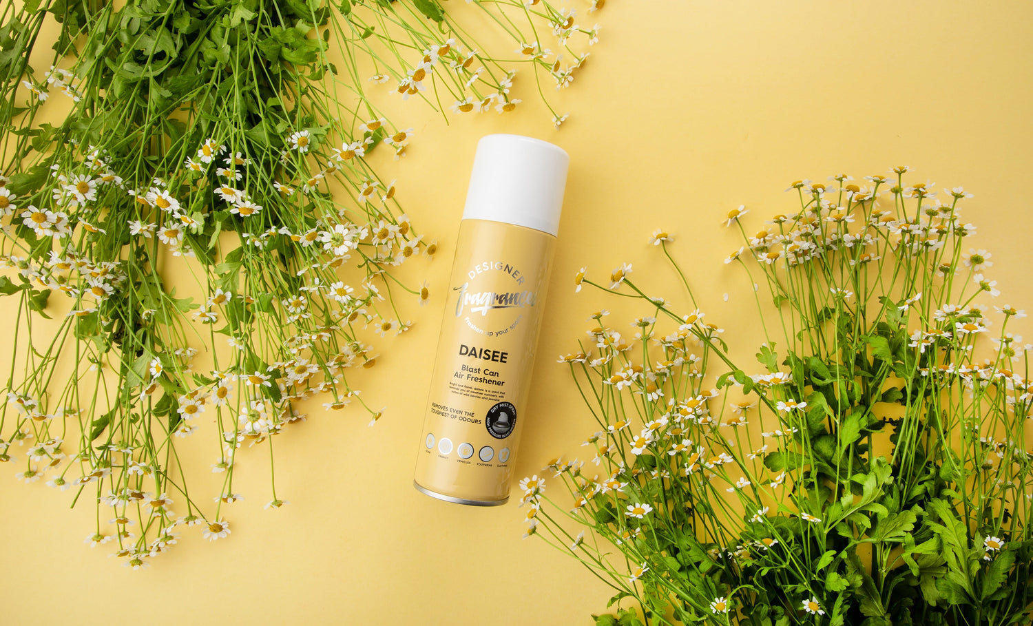 Designer Fragrances Ltd