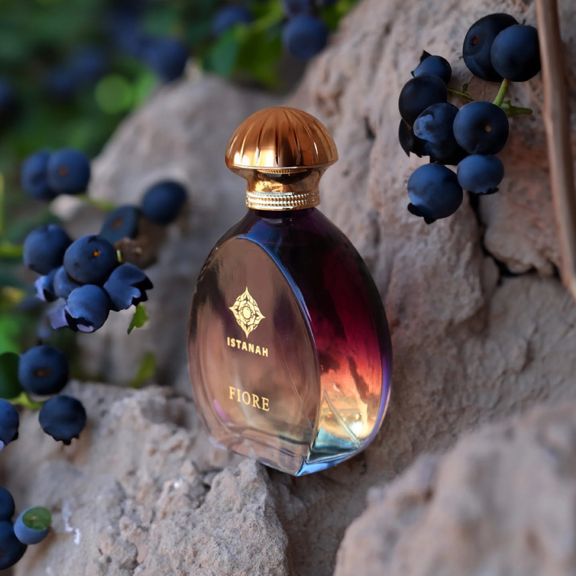 FIORE 100ml | Designer Fragrances