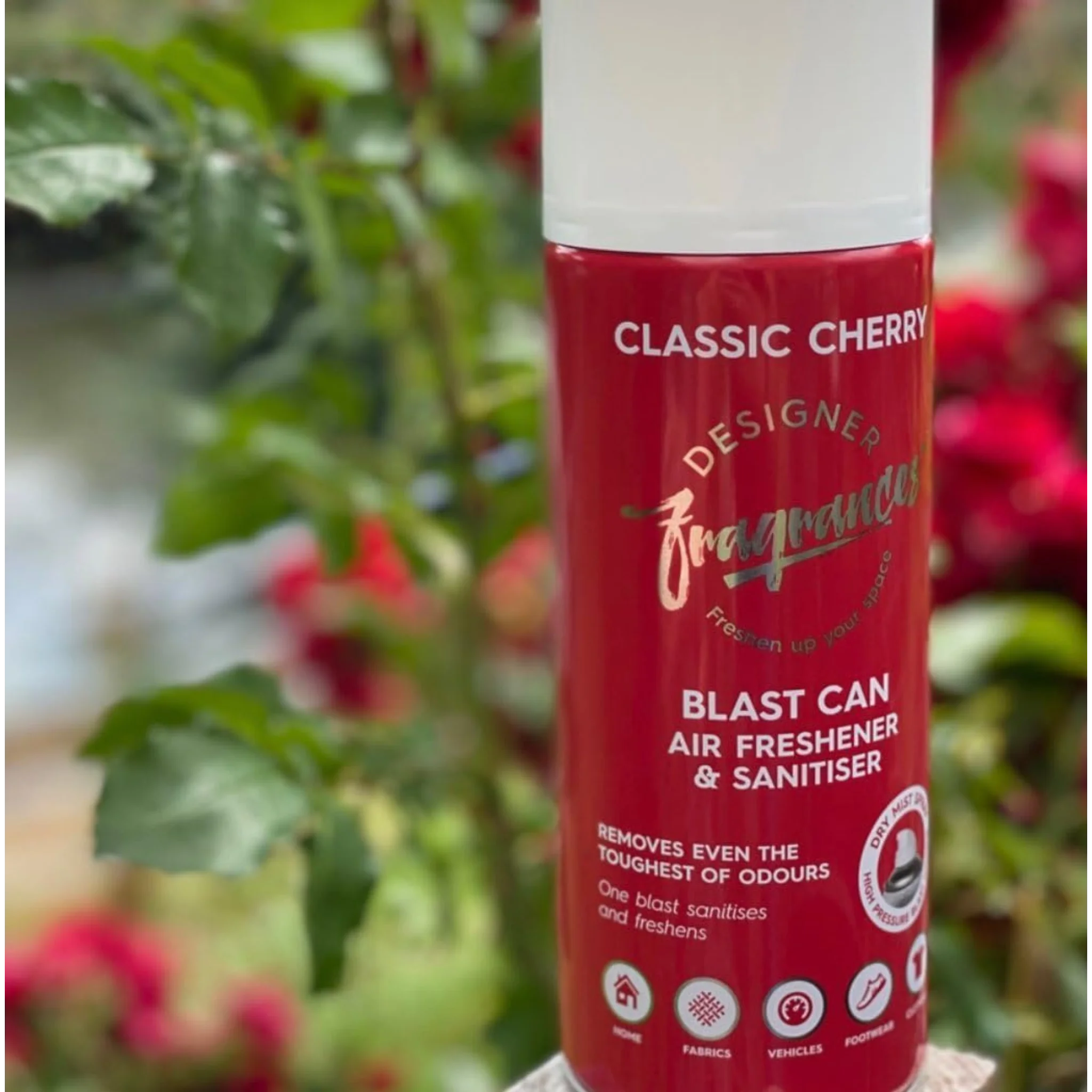 Favourites Air Freshener 6 Pack – Cherry, Blackcode, Ventus – 300ml